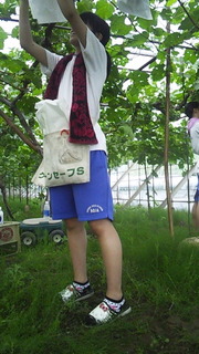 130622_142933.jpg