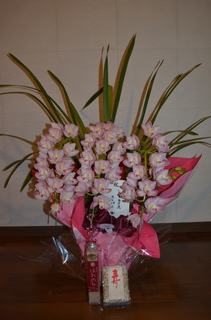 DSC_3031.JPG